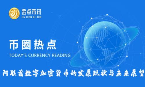 阿联酋数字加密货币的发展现状与未来展望